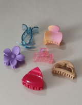 Colorful Mini Hair Claw Set – 6 pcs | Flower, Pastel, Transparent & Matte Collection